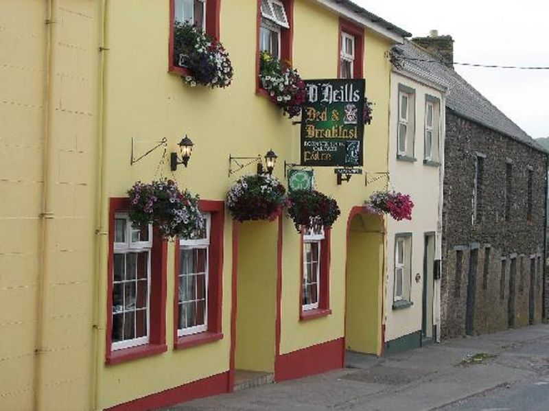 O Neills Bed And Breakfast Dingle Luaran gambar